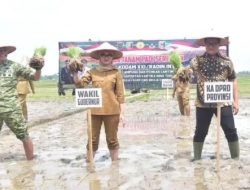 Sinergi Forkopimda, Ketua DPRD Lampung Hadiri Tanam Padi di Lampung Timur
