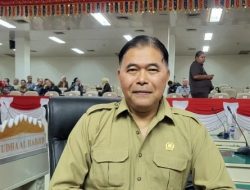 Anggota DPRD Lampung: Konflik Gajah dan Manusia Harus Diselesaikan Secara Komprehensif