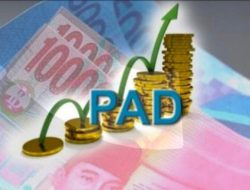 Target PAD 2026 Diminta Realistis, DPRD Soroti Validitas Data Kendaraan