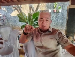 Soal Efisiensi Anggaran, DPRD Minta Pemprov Lampung Tak Ganggu Pelayanan Publik