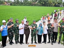 Bupati Nanda Indira Dampingi Wasev Panglima TNI Tinjau Progres TMMD Ke-127 di Pesawaran