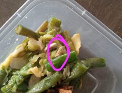 Benarkah Sayuran Menu Makan Bergizi Gratis Berulat, Warga Tiyuh Tirta Makmur Kecewa dengan Respon Pengelola
