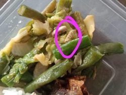Astaga!!!! Klaim Mitra Dapur, Suwardi:Menu MBG Berulat Hanya Satu Porsi, Bukan Kelalaian Sistemik